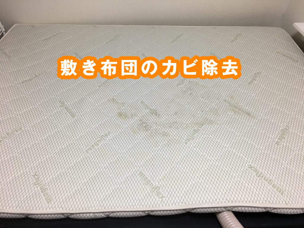 敷き布団のカビ除去にはカビホワイトがおすすめ トシ